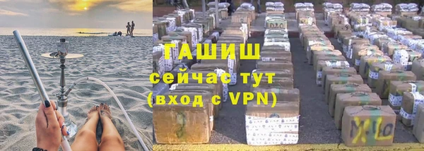 прущие грибы Абаза