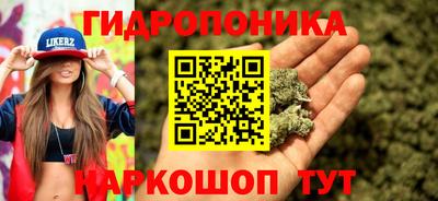 крисы Кунгур