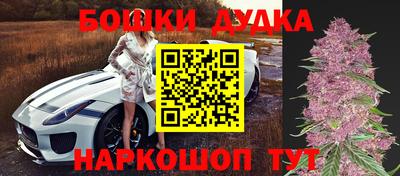 крисы Кунгур
