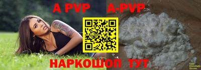 крисы Кунгур